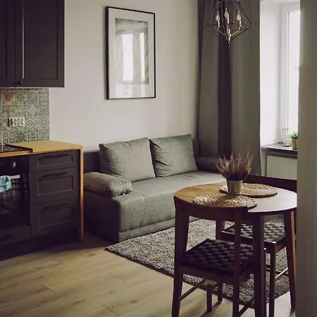 Cozy Downtown Srodmiescie Apartment: Entertainment Hub With Wi-fi *