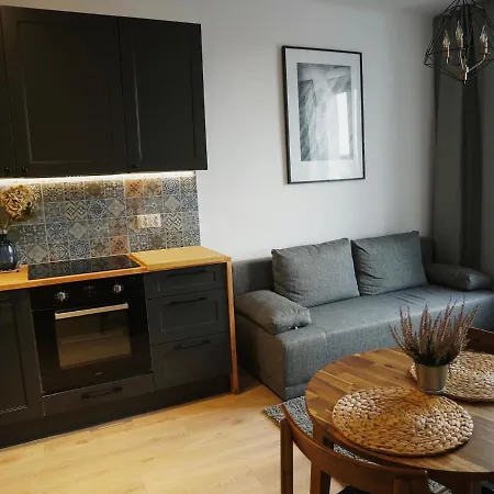 Apartment Cozy Downtown Srodmiescie Apartment: Entertainment Hub With Wi-fi