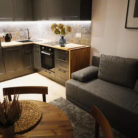 Apartment Cozy Downtown Srodmiescie Apartment: Entertainment Hub With Wi-fi